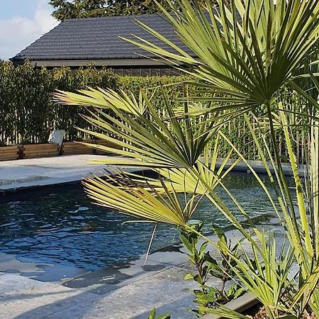 Pine Cottage- 5 Minutes Francorchamps - Charme -Piscine-Calme-Jardin Sart  Екстериор снимка