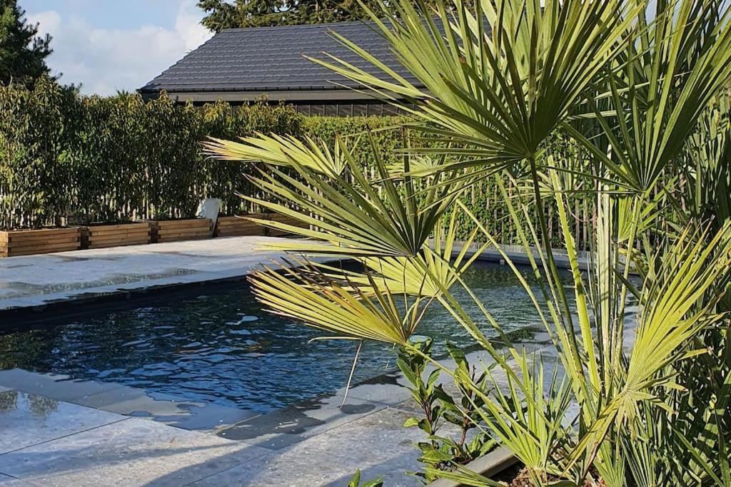 Pine Cottage- 5 Minutes Francorchamps - Charme -Piscine-Calme-Jardin Sart  Екстериор снимка